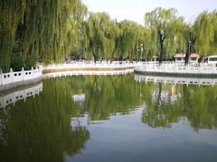 -丰台花园