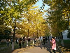 -辽宁大学(崇山校区)