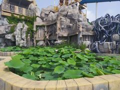 -秦皇岛乐岛海洋王国