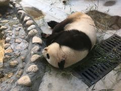 -西安秦岭野生动物园