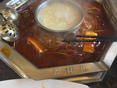 -绵阳森林雨鸭肠王火锅城(丽景花城店)