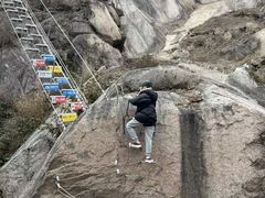 -六里坪国家森林公园