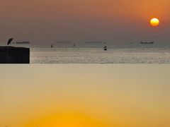 -宝安西湾红树林湿地公园