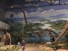 -自贡恐龙博物馆