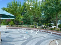 -南宫五洲植物乐园