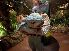 -侏罗纪世界电影特展(广州站)