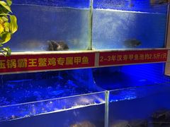 -王捌小院(红花坡店)