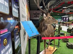 -都市枪神实弹射击俱乐部