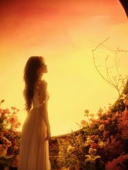 -美薇亭婚礼顾问