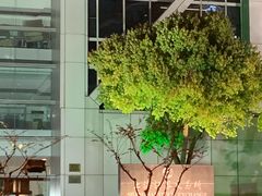 -上海证券交易所(上海证券大厦北塔店)