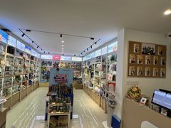 -翊宠yipet猫狗购宠庄园犬舍•猫舍