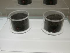 -马王堆汉墓遗址