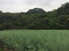 -贵阳市花溪国家城市湿地公园