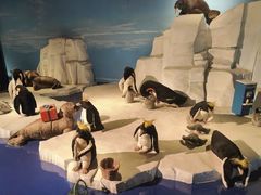 -成都泰迪熊博物馆