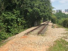 -武吉知马自然保护区