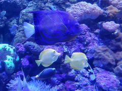 -成都浩海立方海洋公园