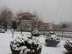 -张店儿童公园