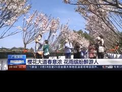 -观澜湖手艺工场·陶艺·吹玻璃·拼豆