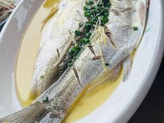 -品鲜村农家菜·阳澄湖大闸蟹(总店)