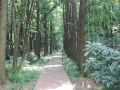 -同里国家湿地公园