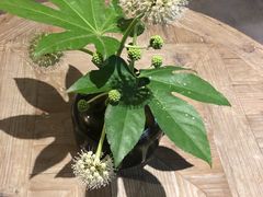 -看见远方·莫干遥远的山民宿