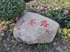 -合肥滨湖国家森林公园