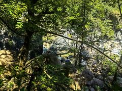 -黄山翡翠谷景区