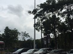 -悦来悦牛潮汕牛肉火锅(大浪店)