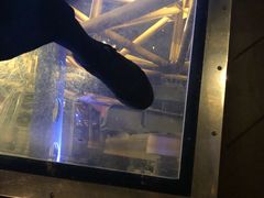 -影汇之星8字形摩天轮