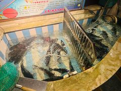 -王渔王得莫利炖鱼(群力店)