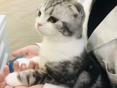 -安安宠医·安宠宠物医院