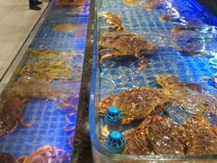 -海虹舫海鲜大酒店(诸暨店)