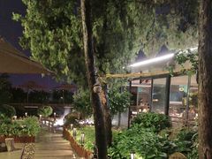 -蘇河湾·新鲁菜·泰山宴(泰山店)