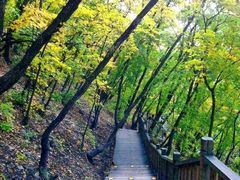 -帽儿山国家森林公园