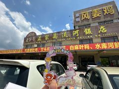 -正宗高流河饭店原创风姜鸡