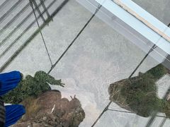 -宁波五龙潭景区