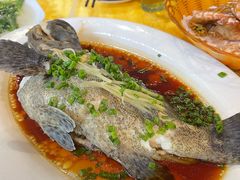 清蒸黑虎斑-老字号蛇口德记烧腊饭店·海鲜加工