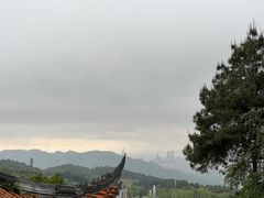 -铁山坪森林公园