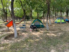 -永定河休闲森林公园