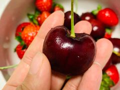 -双福水果批发市场