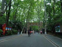 -WeLope紫金山探险公园