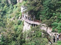 -老君山风景名胜区