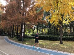 -苏州河梦清园环保主题公园