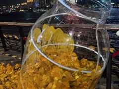 -上海港国际客运中心