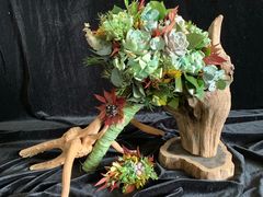-荷兰布尔玛国际花艺学院