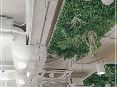 -深仔记茶餐厅(亚士厘道店)
