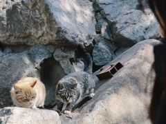 -九如山休闲旅游度假区