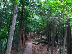 -火炉山森林公园