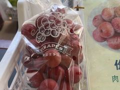 -马陆小张葡萄园农家乐