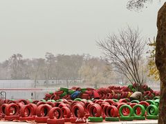 -北陵公园